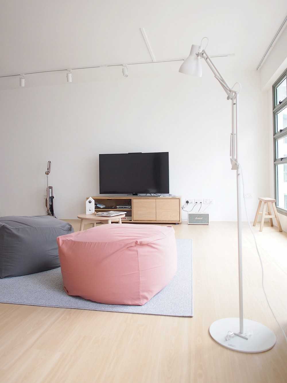 Scandinavian Living Room with TV Console and TV