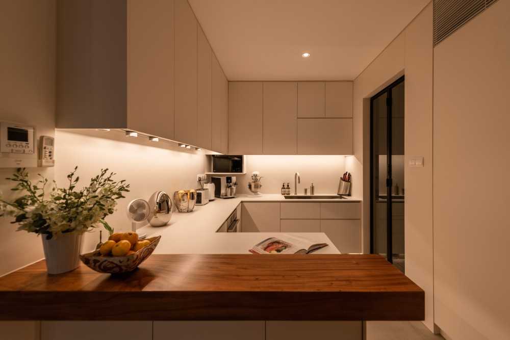 Scandinavian Kitchen with Countertop and Open Kitchen