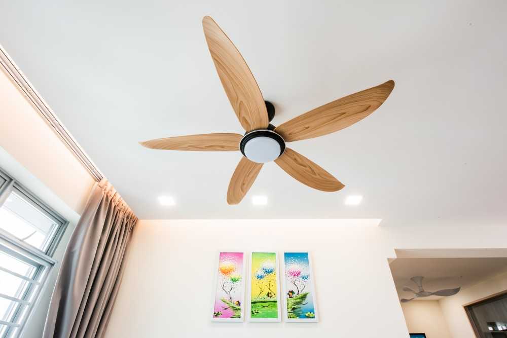Contemporary Dining Room with Cove Lighting and Ceiling Fan