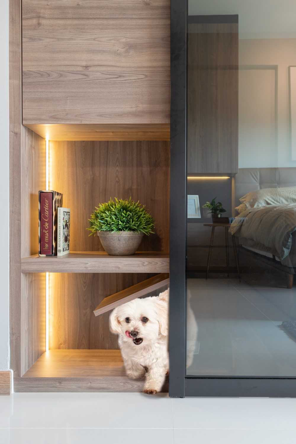 Modern Living Room with Display Cabinets and Pets