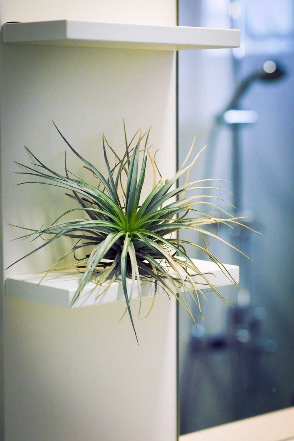 Contemporary