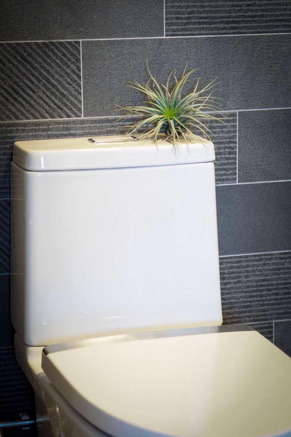 Contemporary
