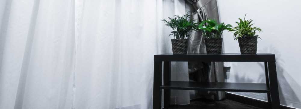 Contemporary Bedroom with Bookshelf and Curtain