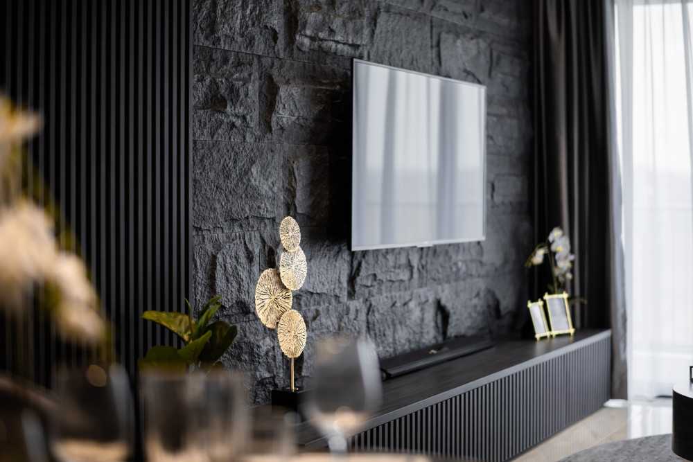 Contemporary Living Room with TV Console and Feature Wall