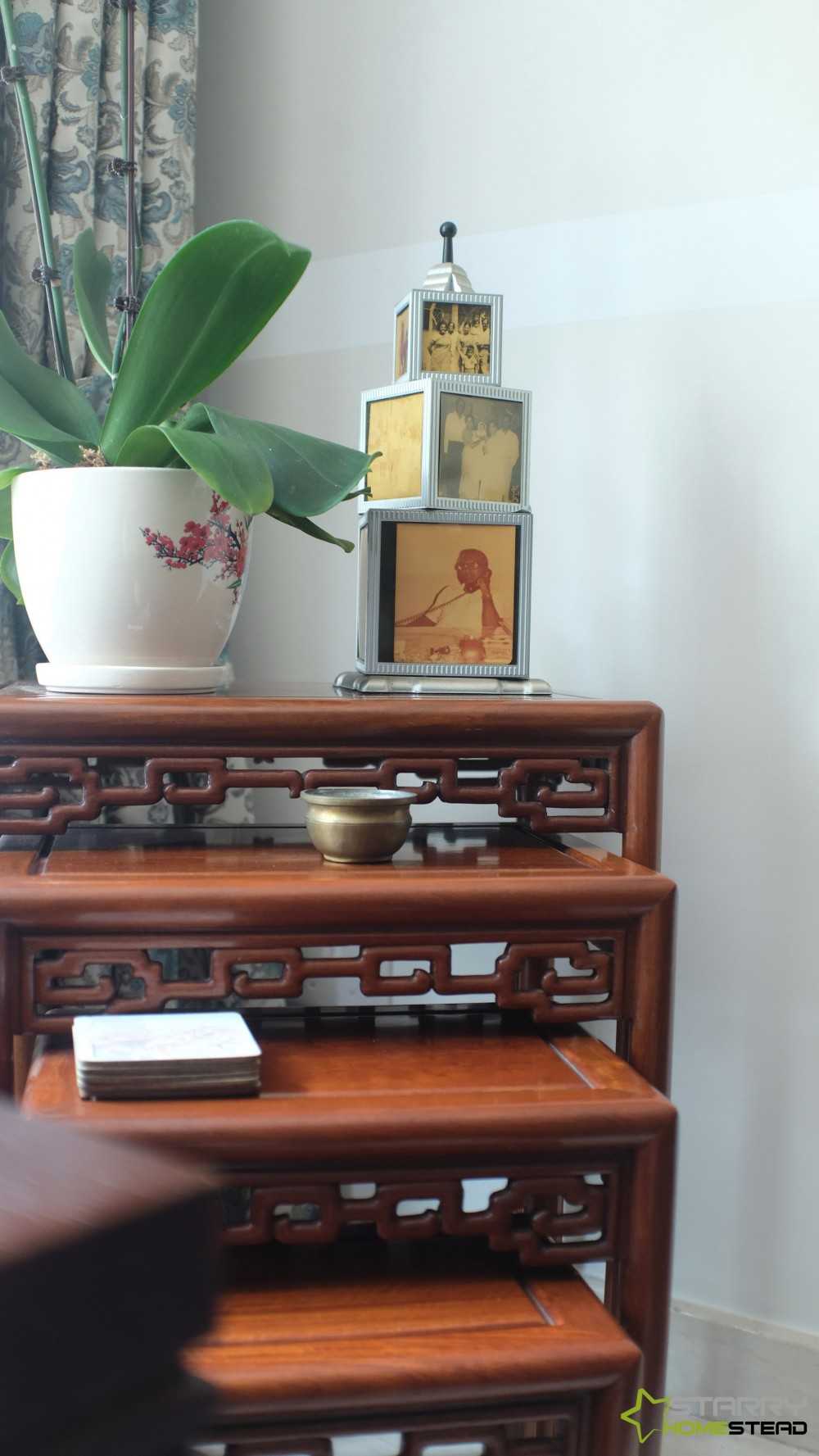 Modern Living Room with Coffee Table and Houseplants