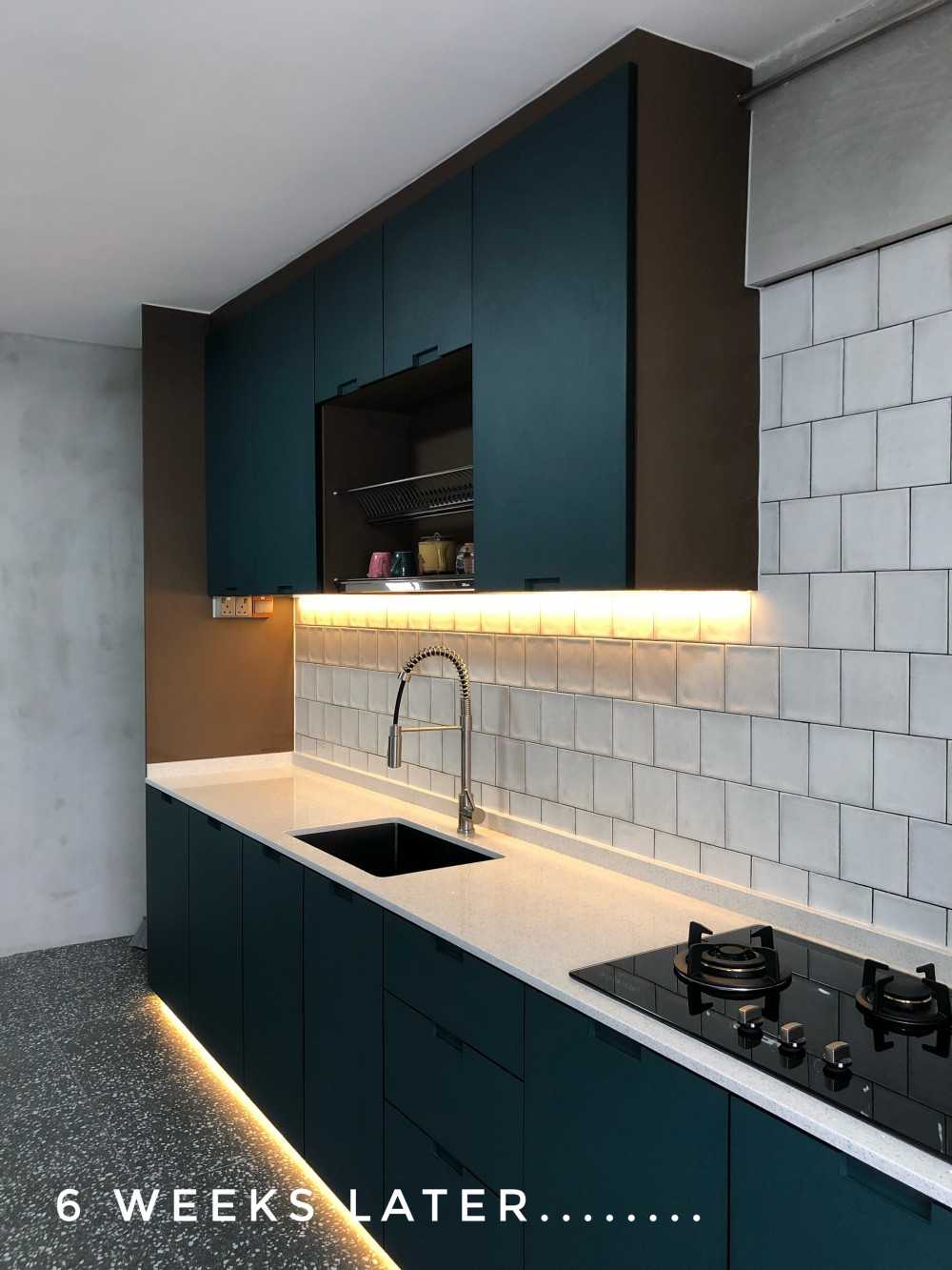Industrial Kitchen with Countertop and Homogeneous Tiles