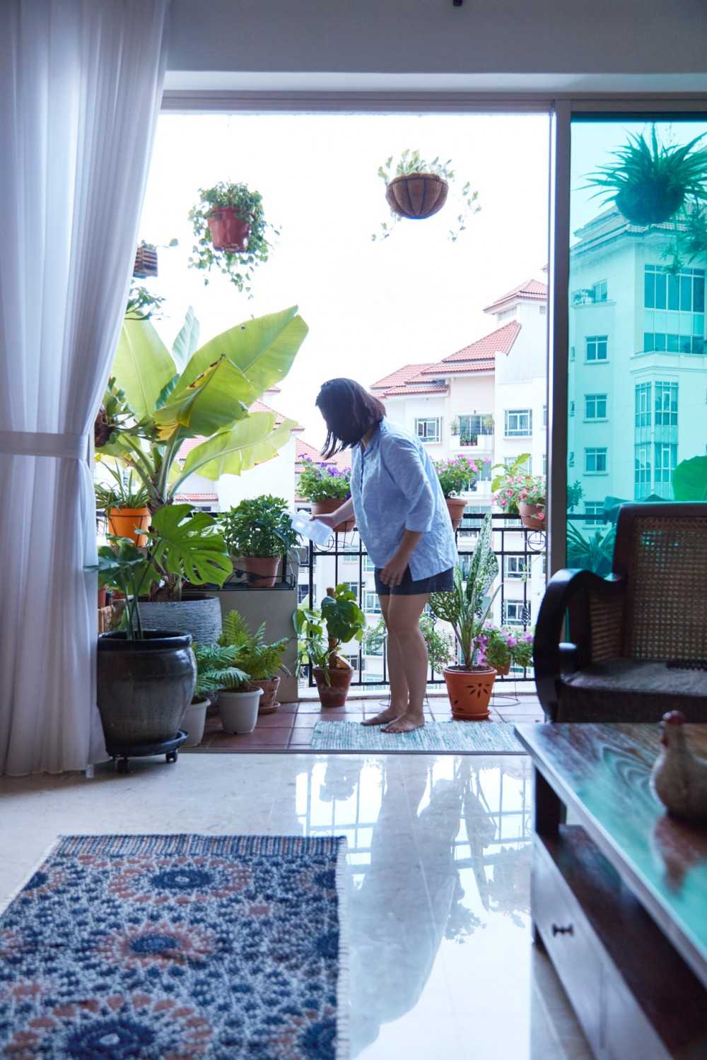Country Balcony with Planters and Rugs