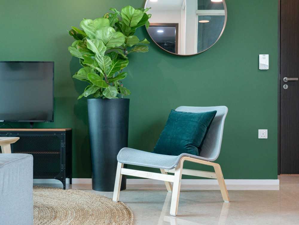 Modern Living Room with Mirror and Armchairs