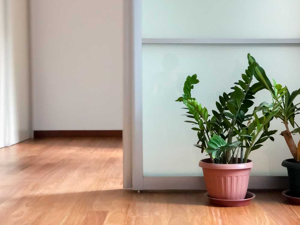 Minimalist Living Room with Parquet Floor and Flooring