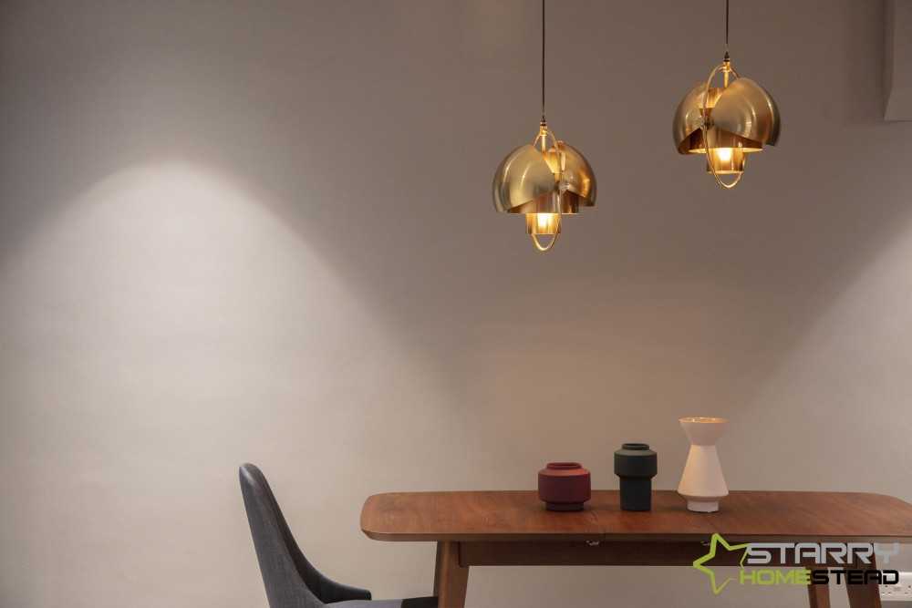 Modern Dining Room with Ceiling Light and Dining Table