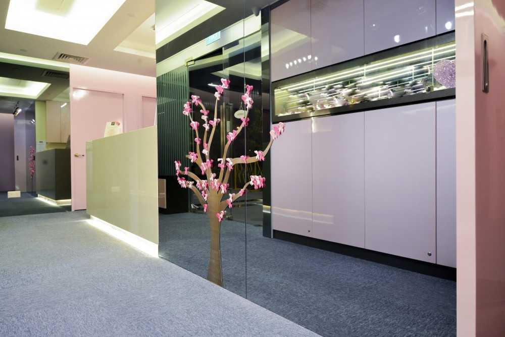 Contemporary Foyer with Artwork and Ceiling Light