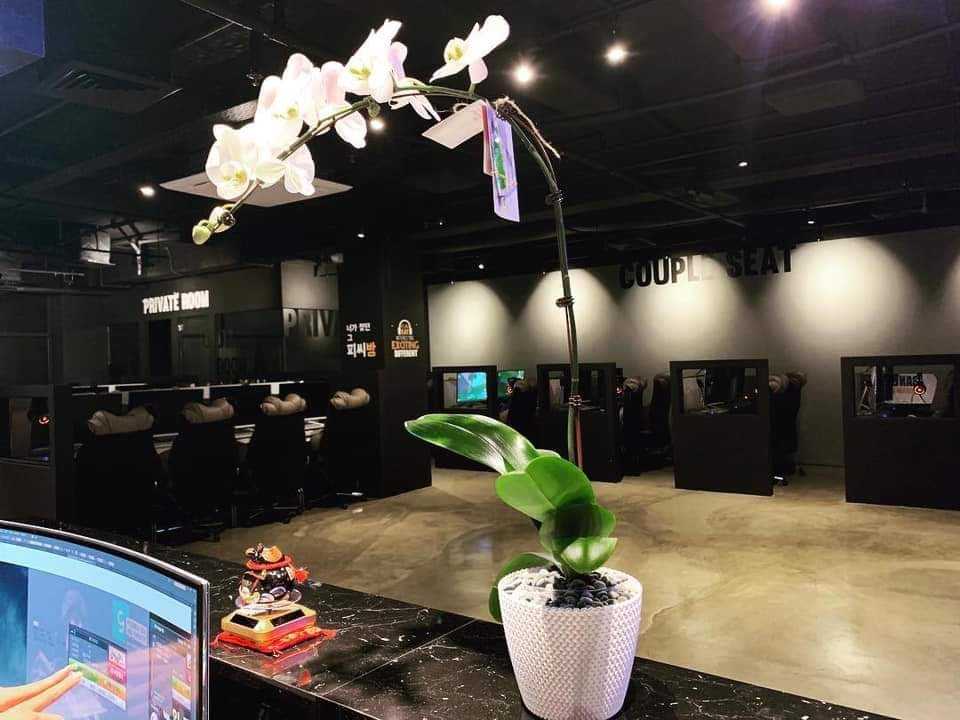 Industrial Gaming Room with Sofa and Computer