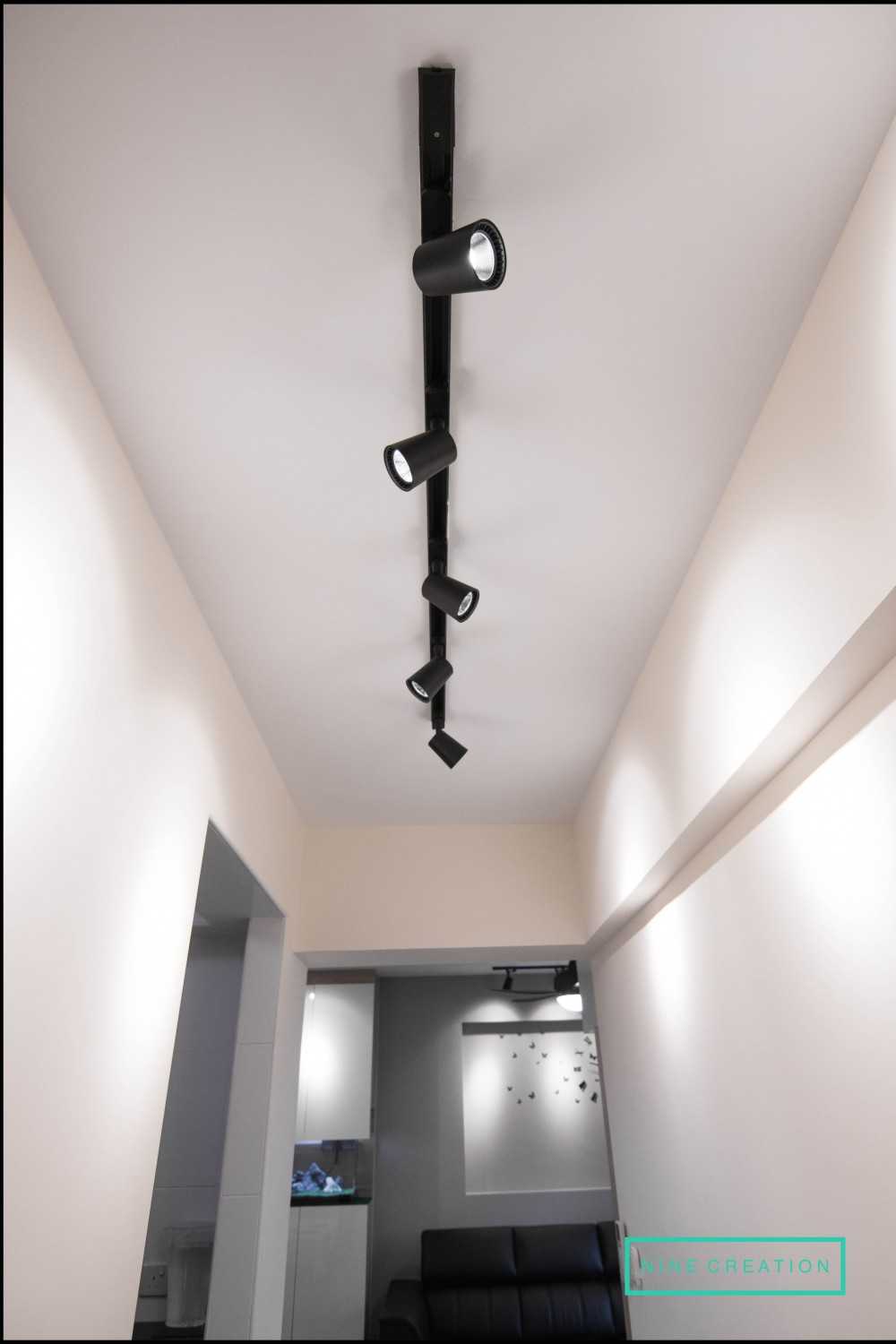 Modern Entryway with Ceiling Light and Display Cabinets