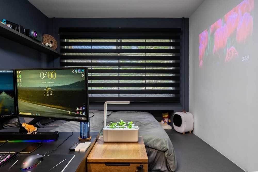 Modern Bedroom with Platform Bed and Queen Bed