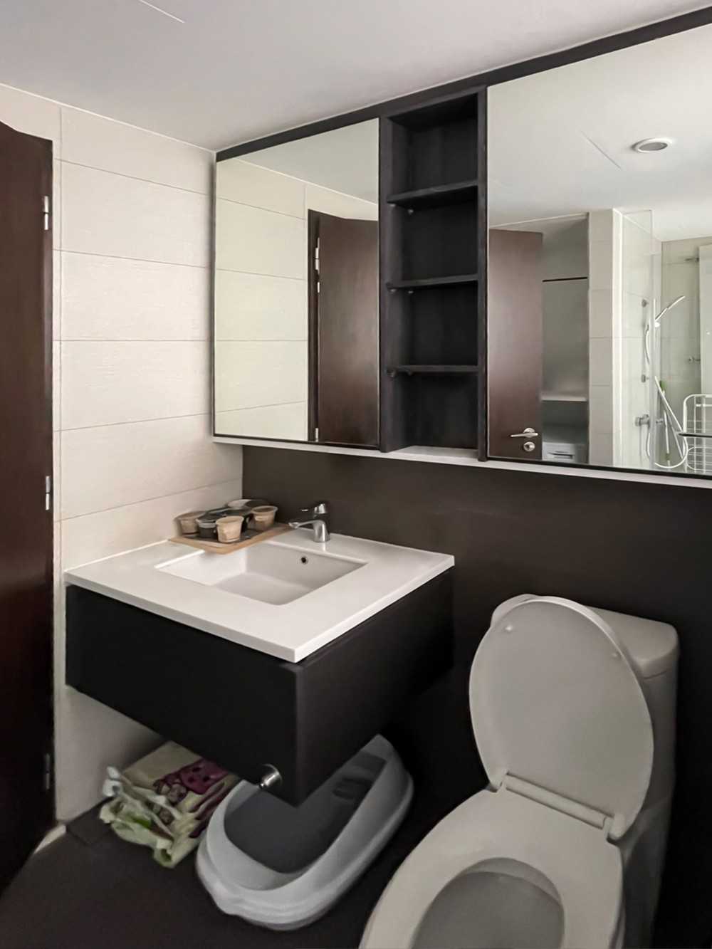 Scandinavian Bathroom with Mirror and Bathroom Storage
