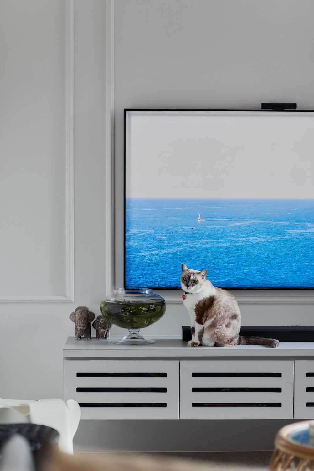 Contemporary Living Room with TV Console and Sofa