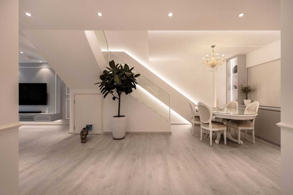 Modern Dining Room with Ceiling Light and Downlights