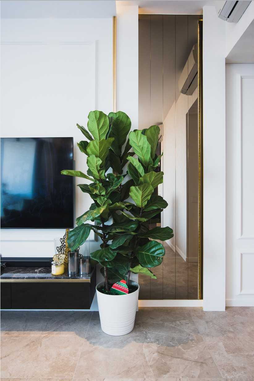 Eclectic Living Room with Planters and TV