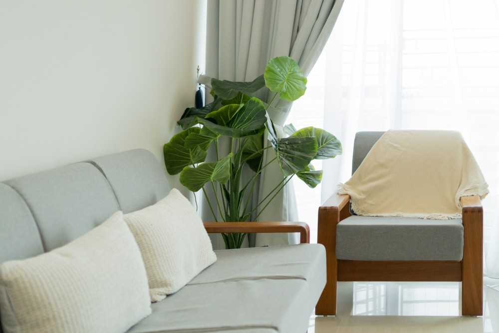 Modern Living Room with Curtain and Sofa