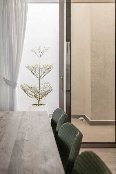 Scandinavian Foyer with Planters and Houseplants