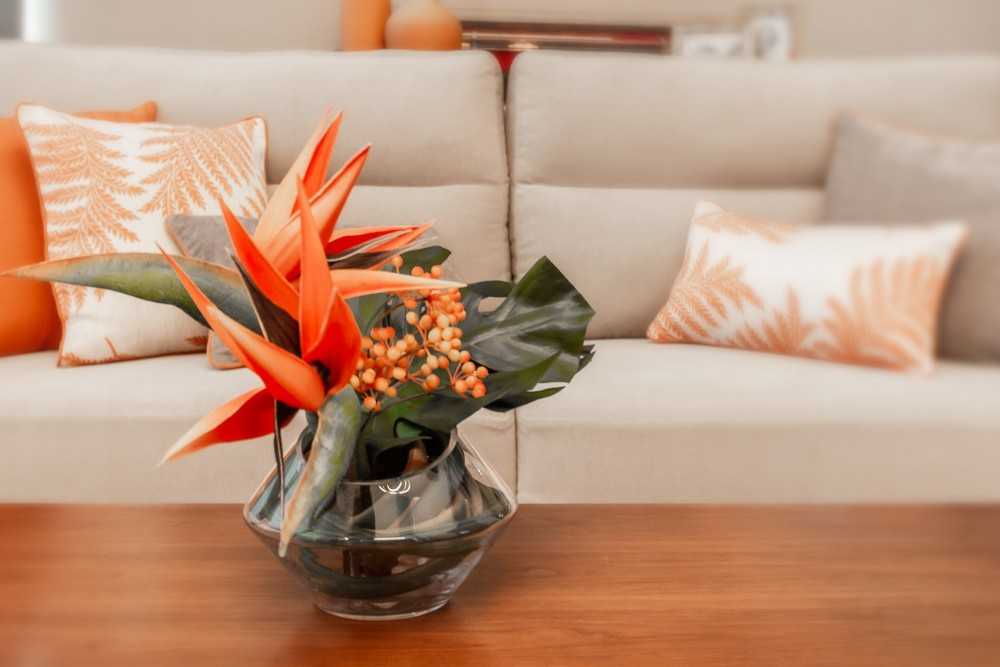 Modern Living Room with Sofa and Coffee Table