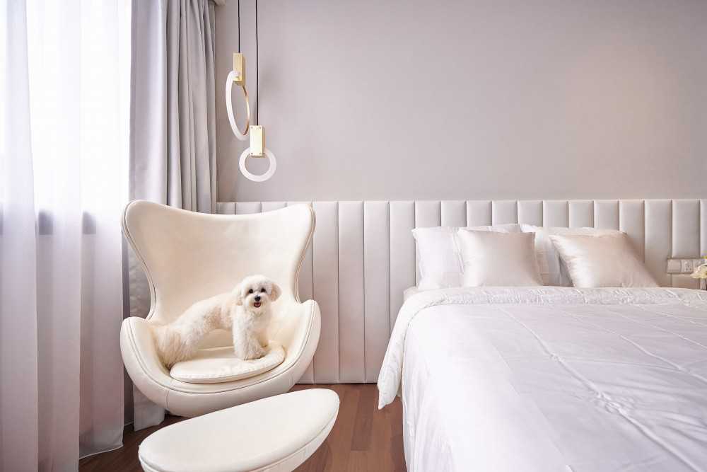 Contemporary Bedroom with Cove Lighting and Built-in Bed
