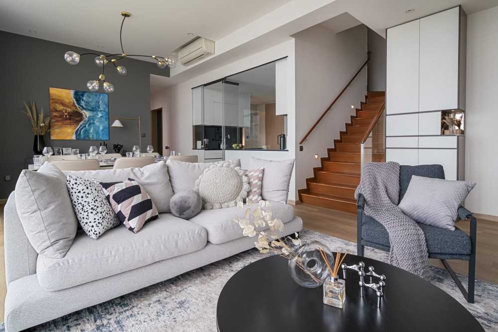 Contemporary Living Room with Carpet and Sofa