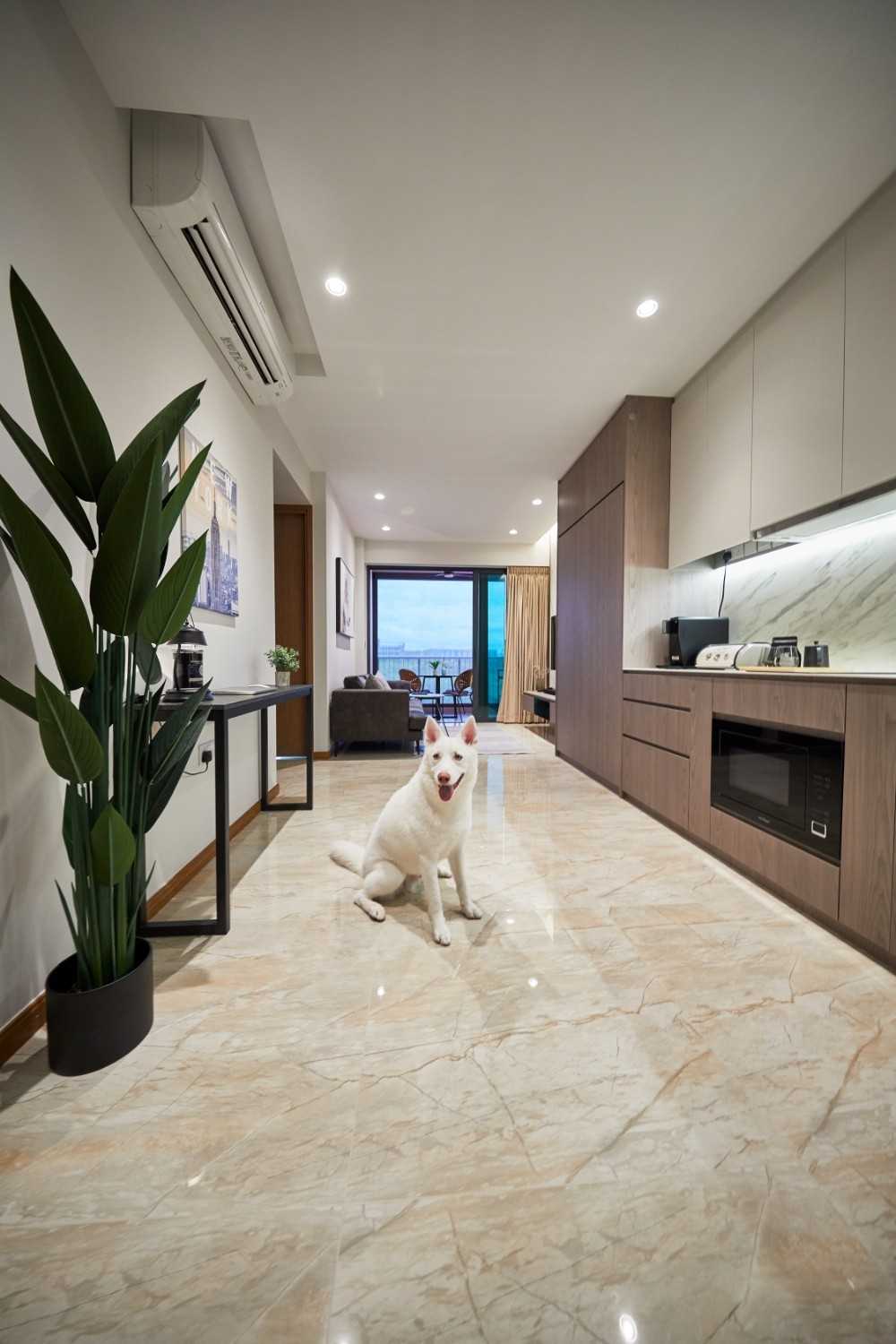 Modern Kitchen with Countertop and Marble Floor