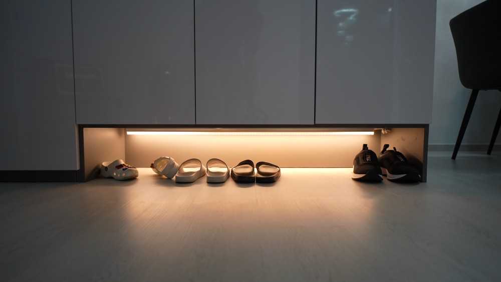 Modern Entryway with Shoe Rack and Doormats