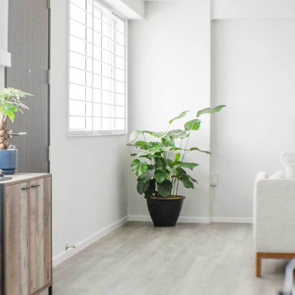 Minimalist Living Room with Vinyl Flooring and Window Grille