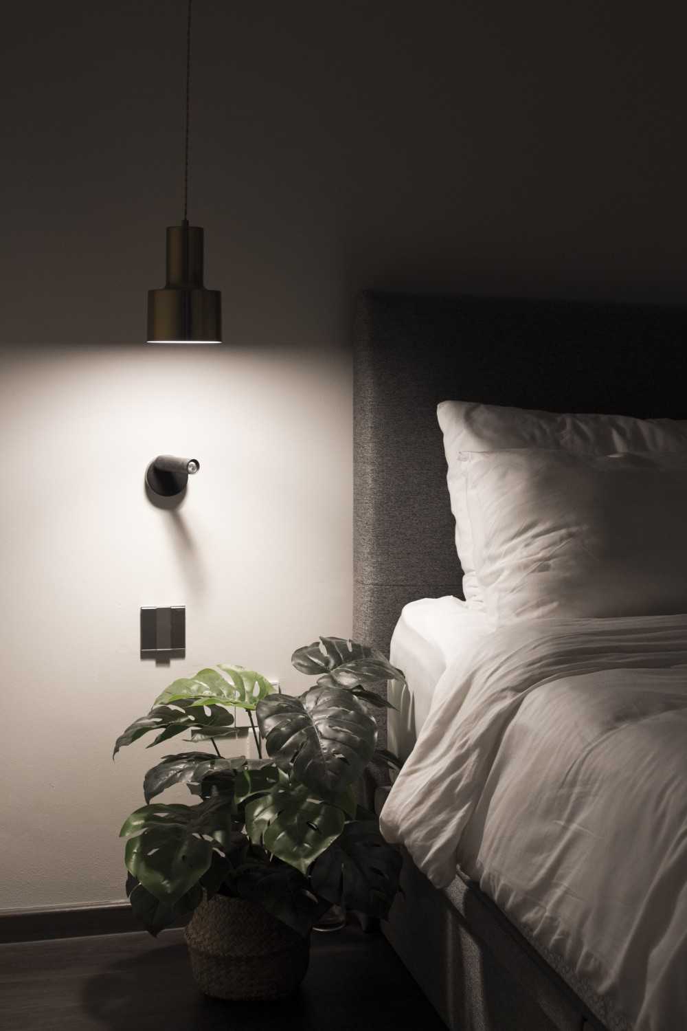 Scandinavian Bedroom with Vinyl Flooring and Queen Bed