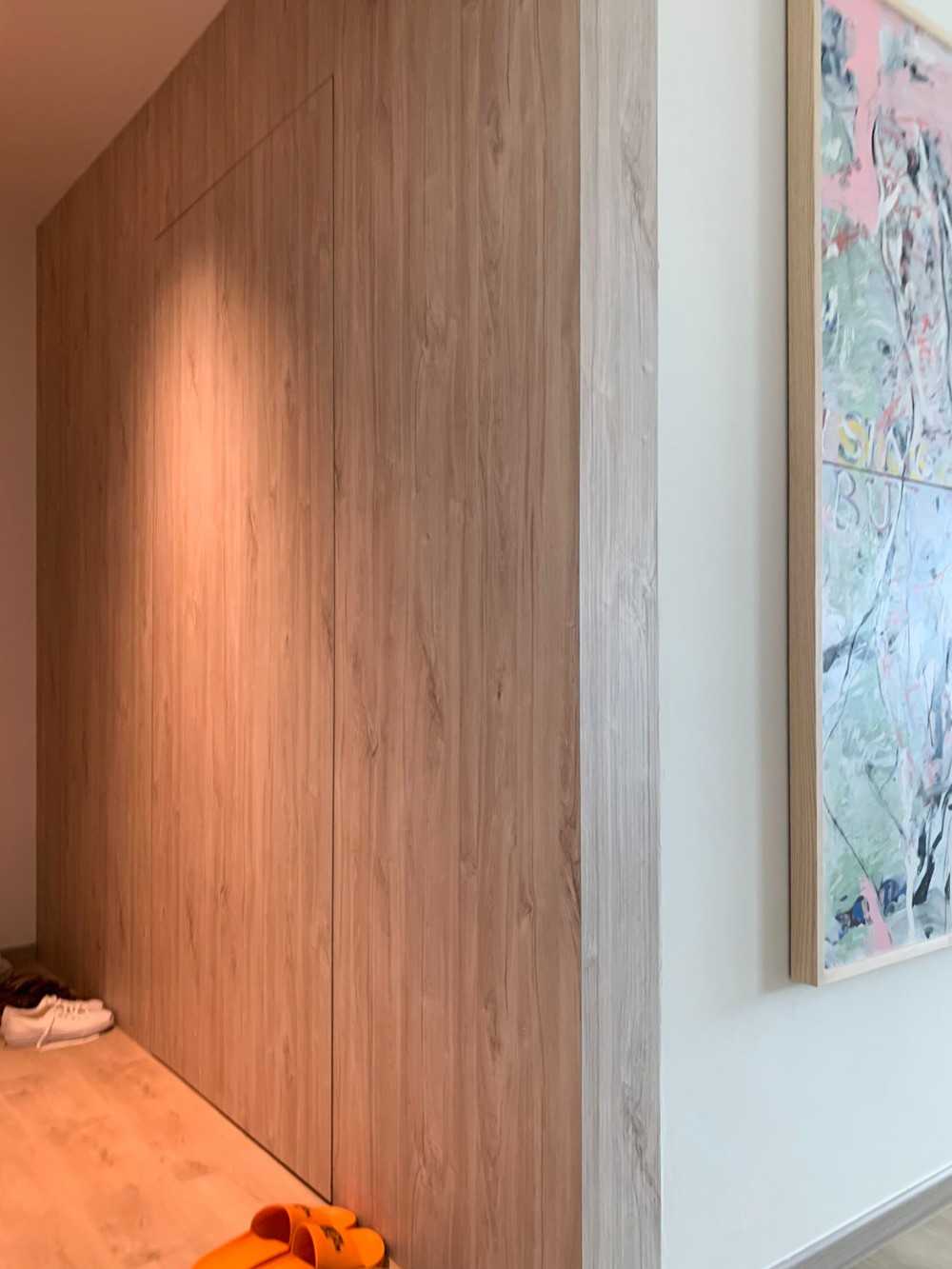 Scandinavian Foyer with Feature Wall and Paintings