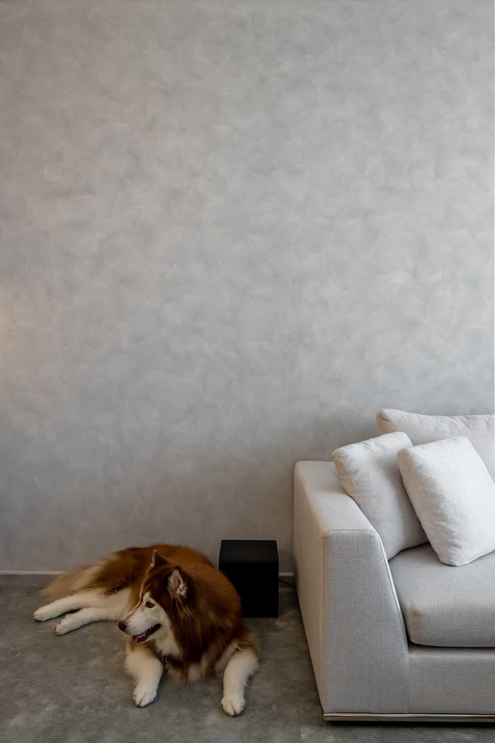 Scandinavian Living Room with Feature Wall and Sofa