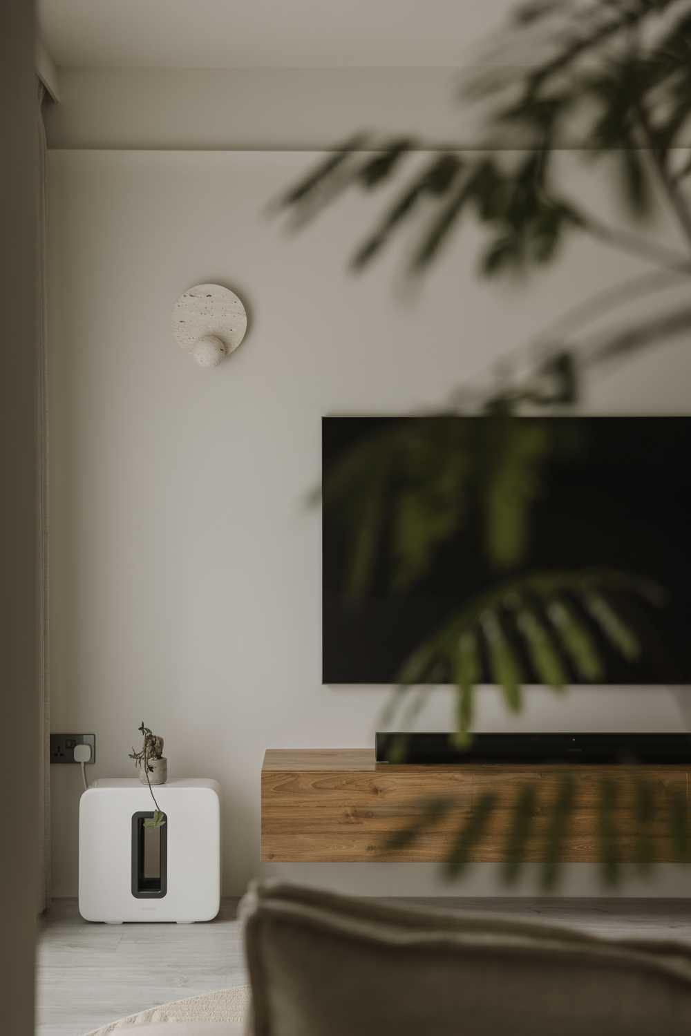 Minimalist Living Room with TV Console and Curtain
