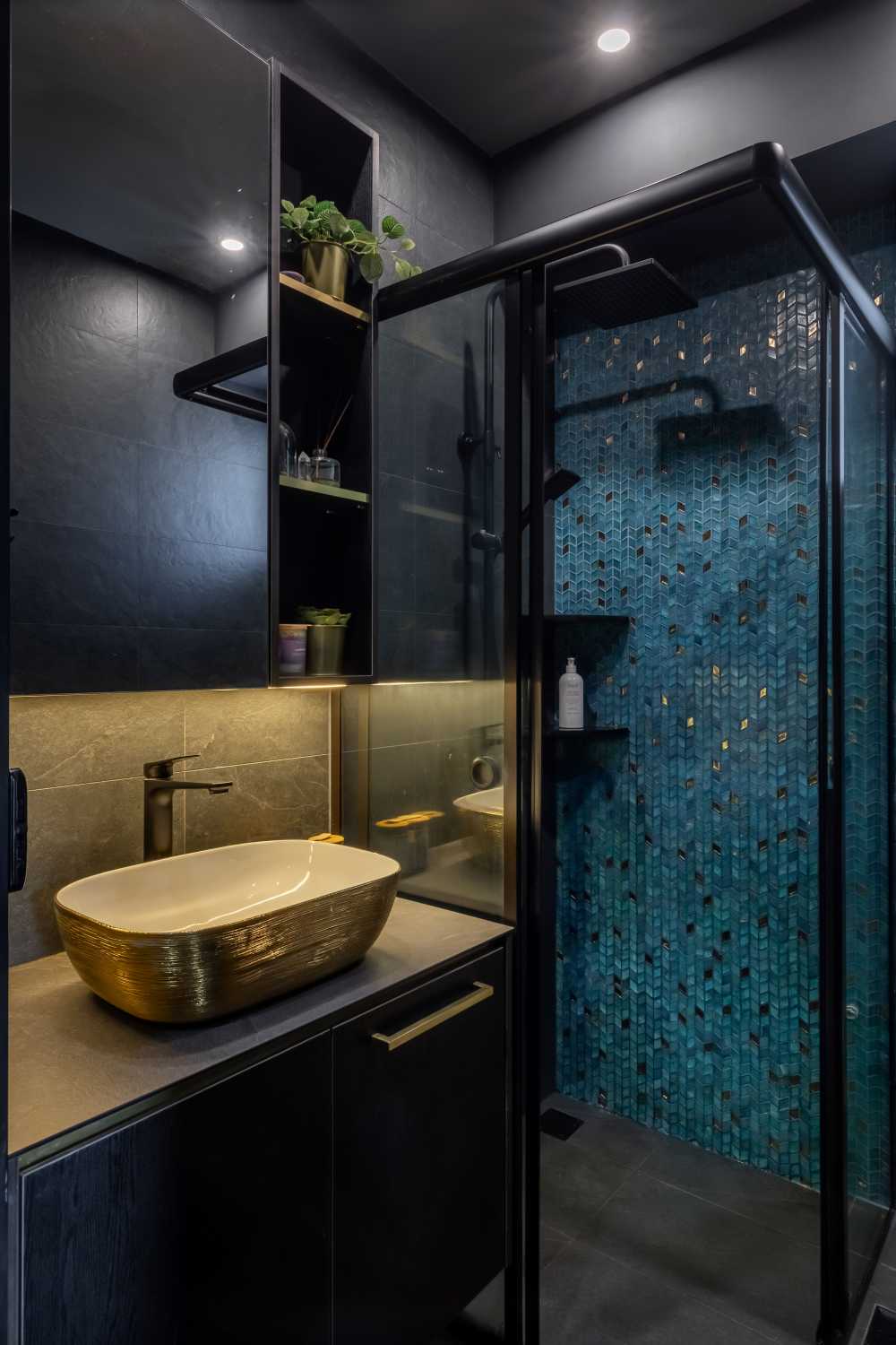 Contemporary Bathroom with Bathroom Accessories and Showers