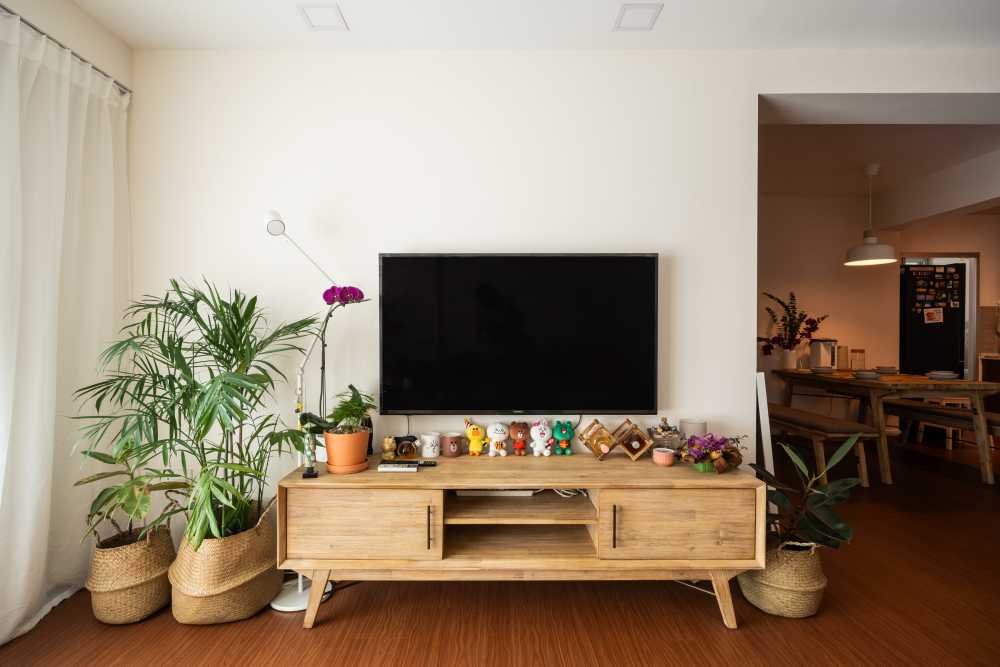 Modern Living Room with Wood Flooring and TV Console