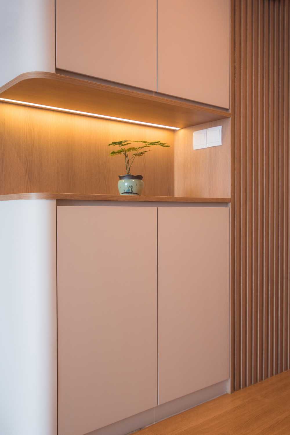Contemporary Foyer with Display Cabinets and Shoe Cabinets