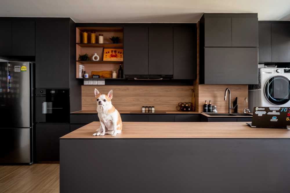 Modern Kitchen with Open Kitchen and Kitchen Backsplash