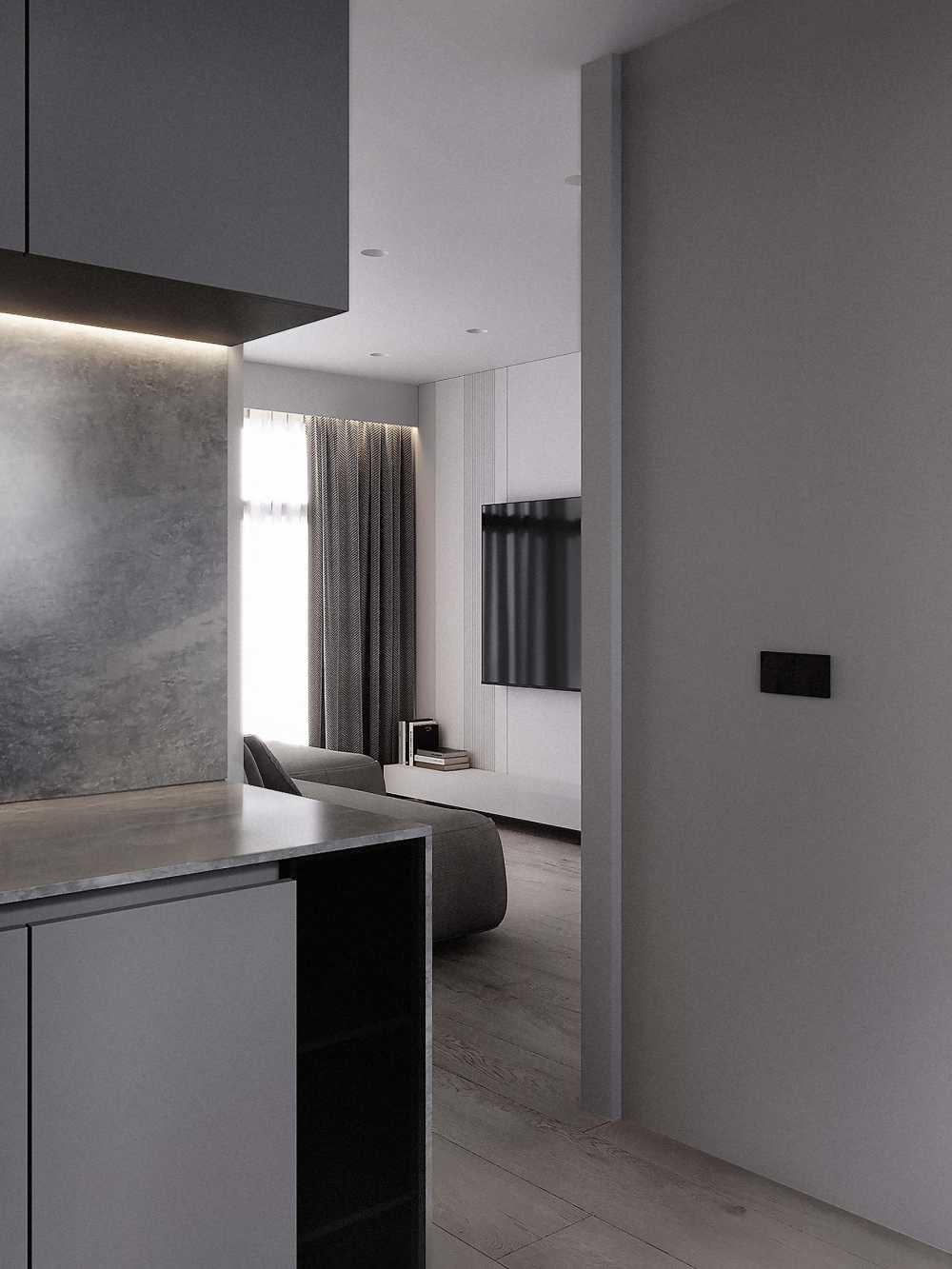 Minimalist Kitchen with Countertop and Wood Flooring
