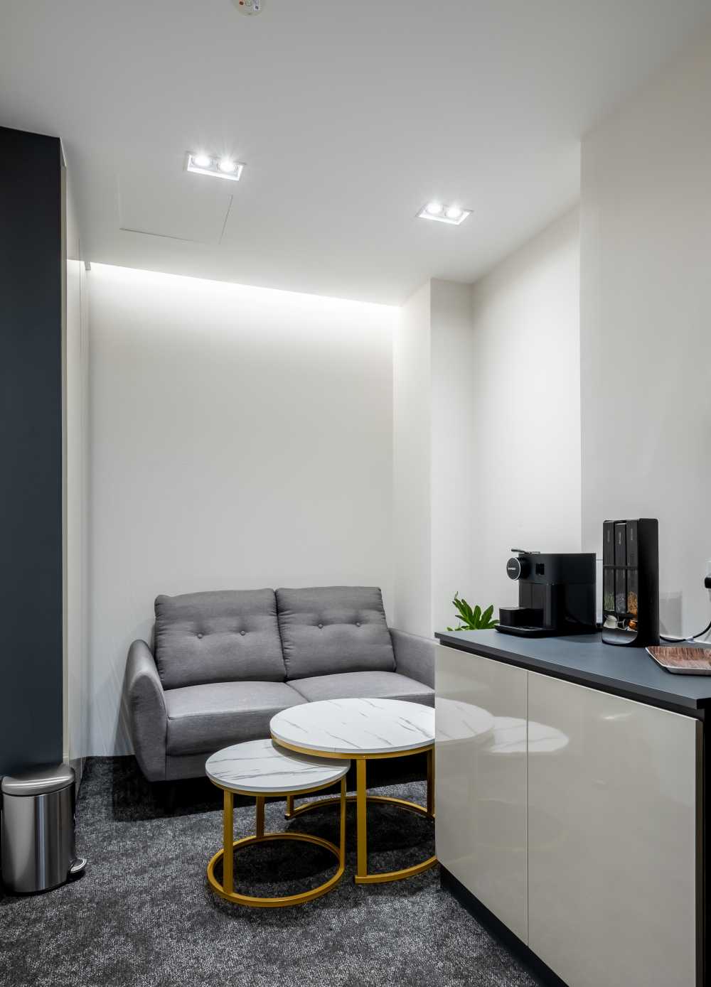 Contemporary Office with Carpet and Sofa