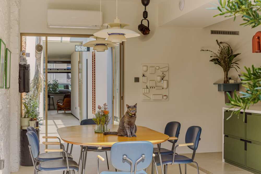 Eclectic Dining Room with Dining Table and Storage Cabinets