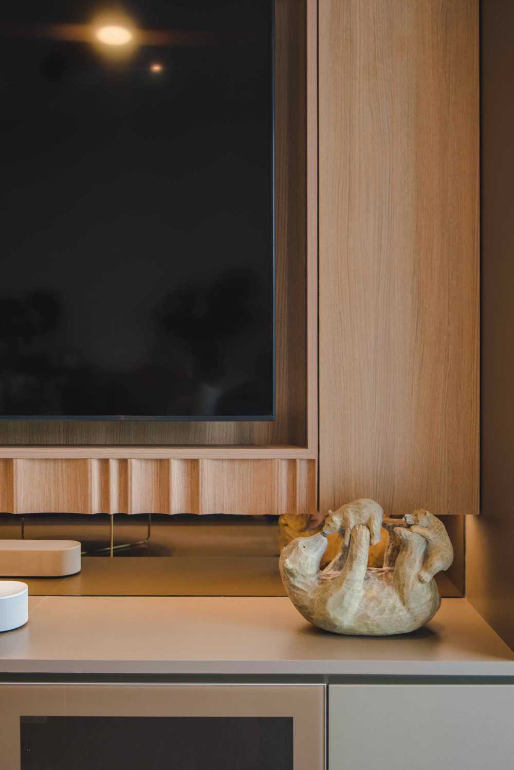 Contemporary Living Room with TV Console and Wood TV Console