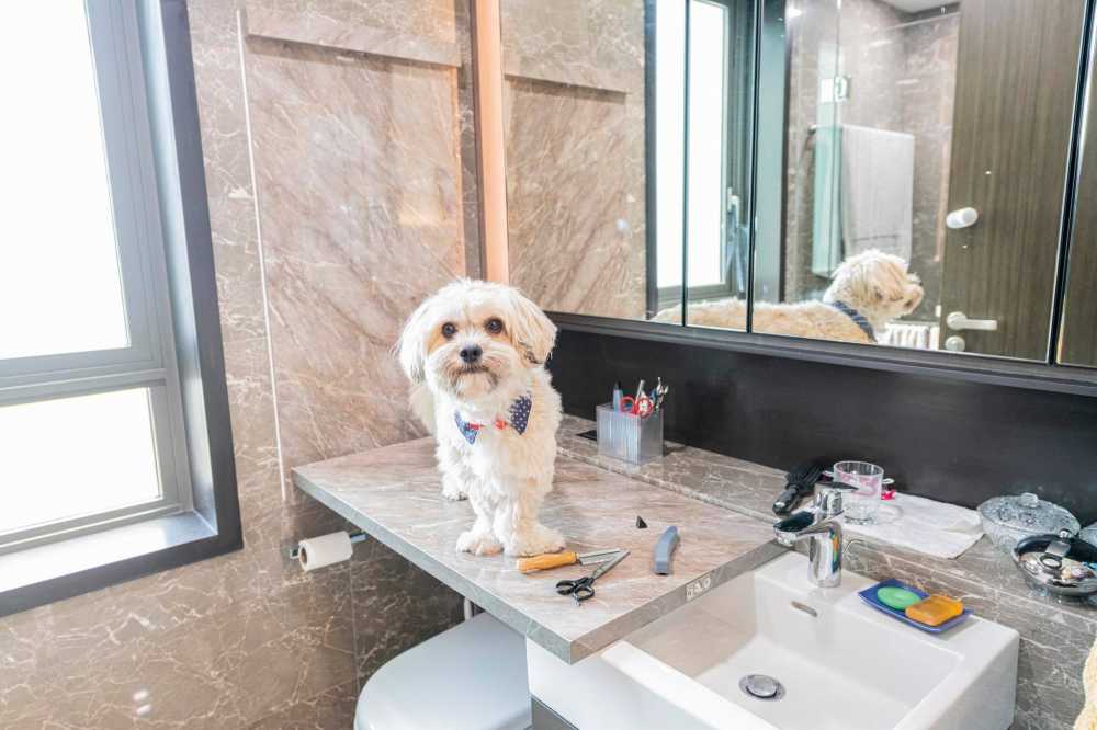 Contemporary Bathroom with Countertop and Vinyl Flooring