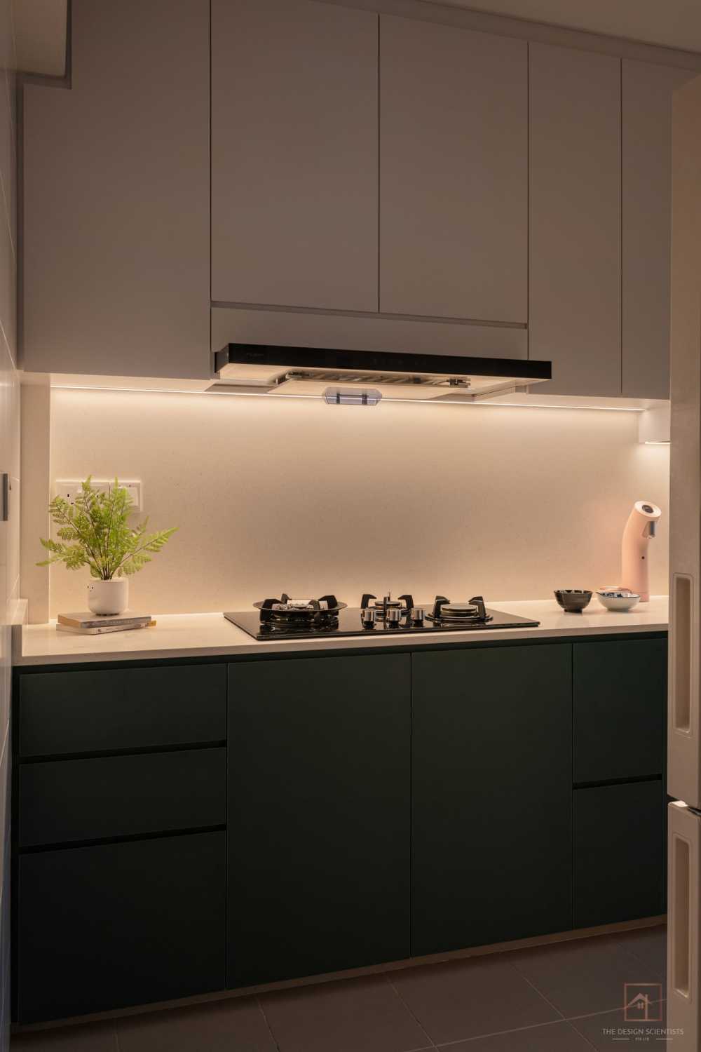 Scandinavian Kitchen with Countertop and Homogeneous Tiles