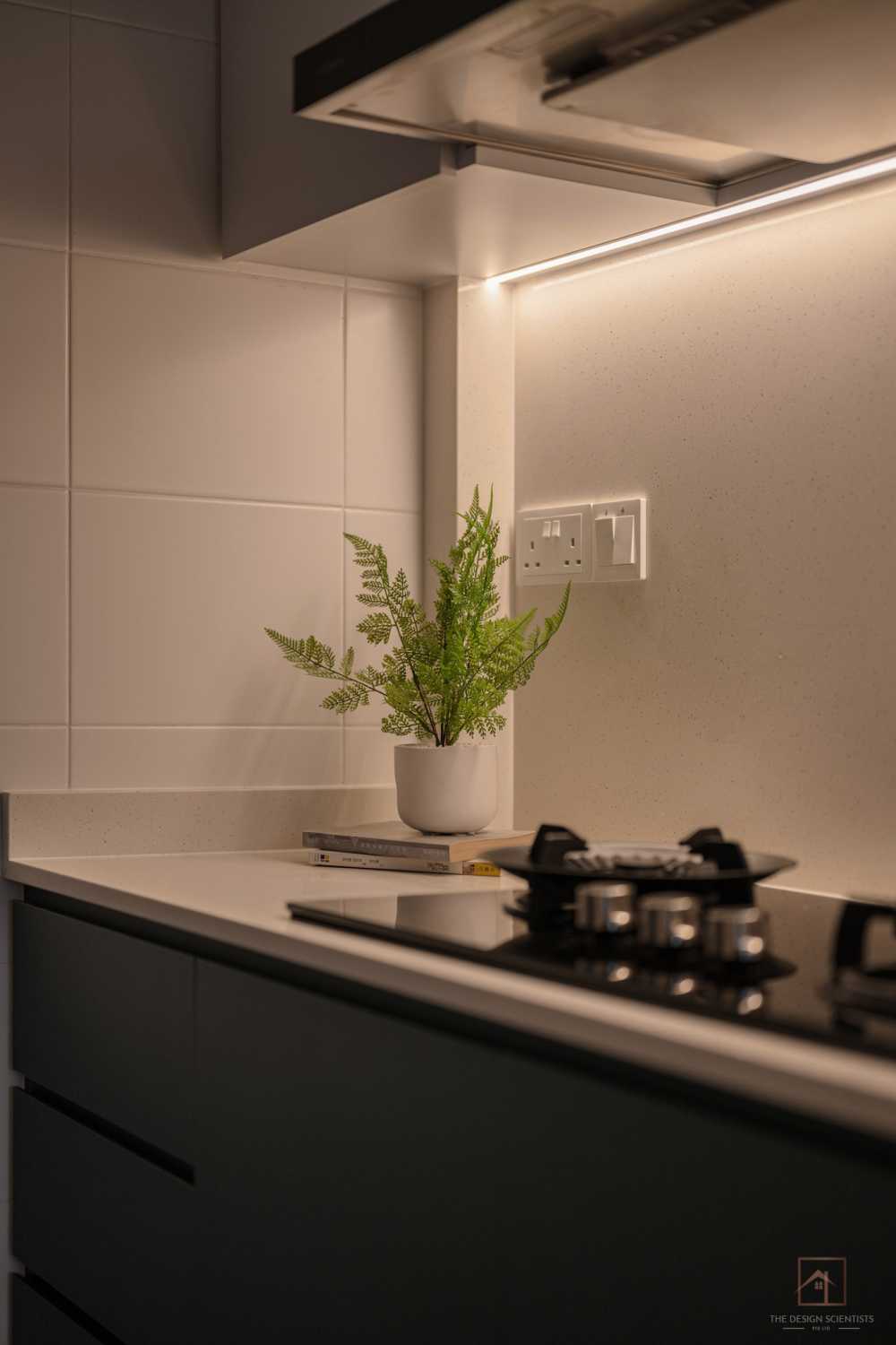 Scandinavian Kitchen with Countertop and Kitchen Backsplash