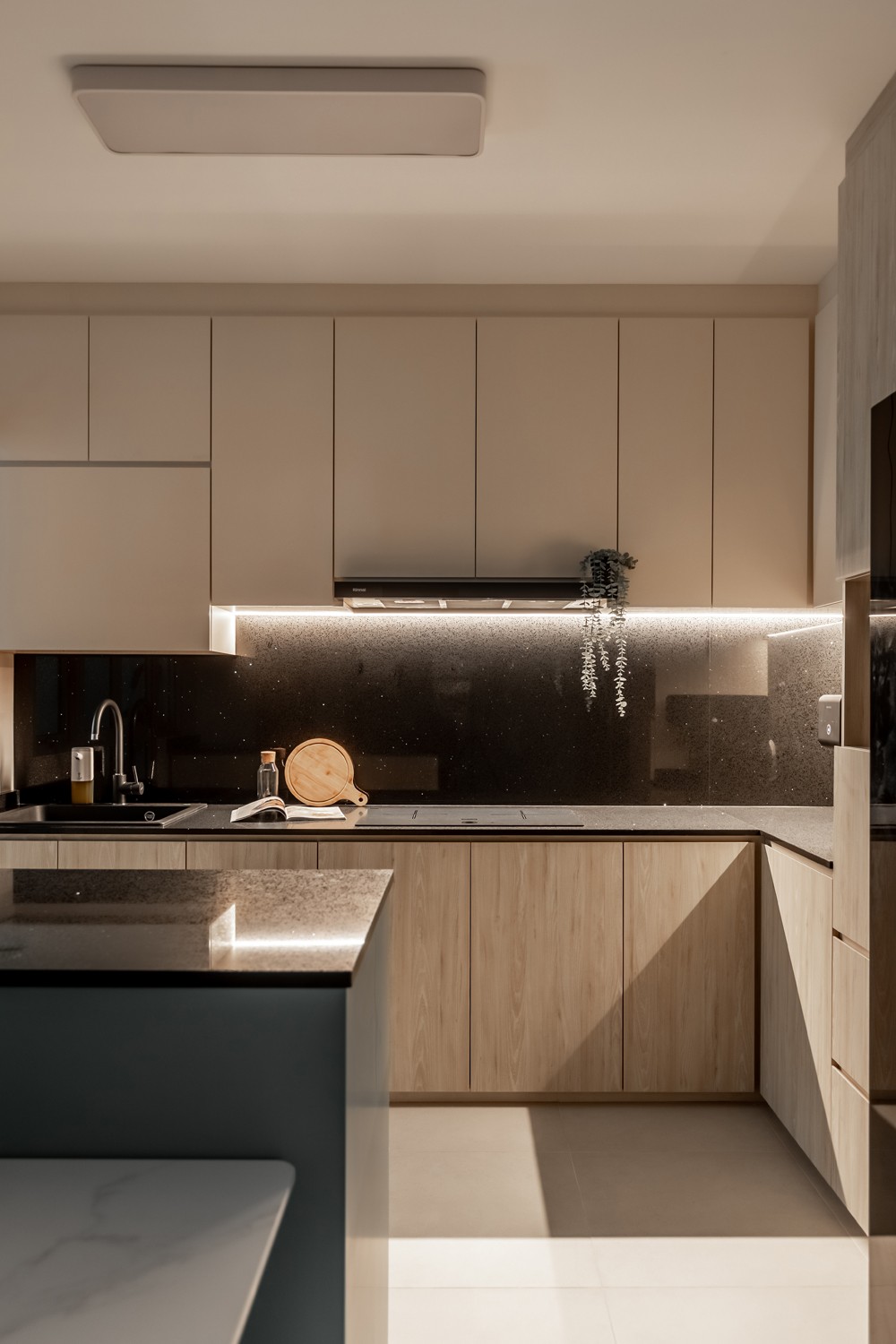Modern Kitchen with Countertop and Open Kitchen