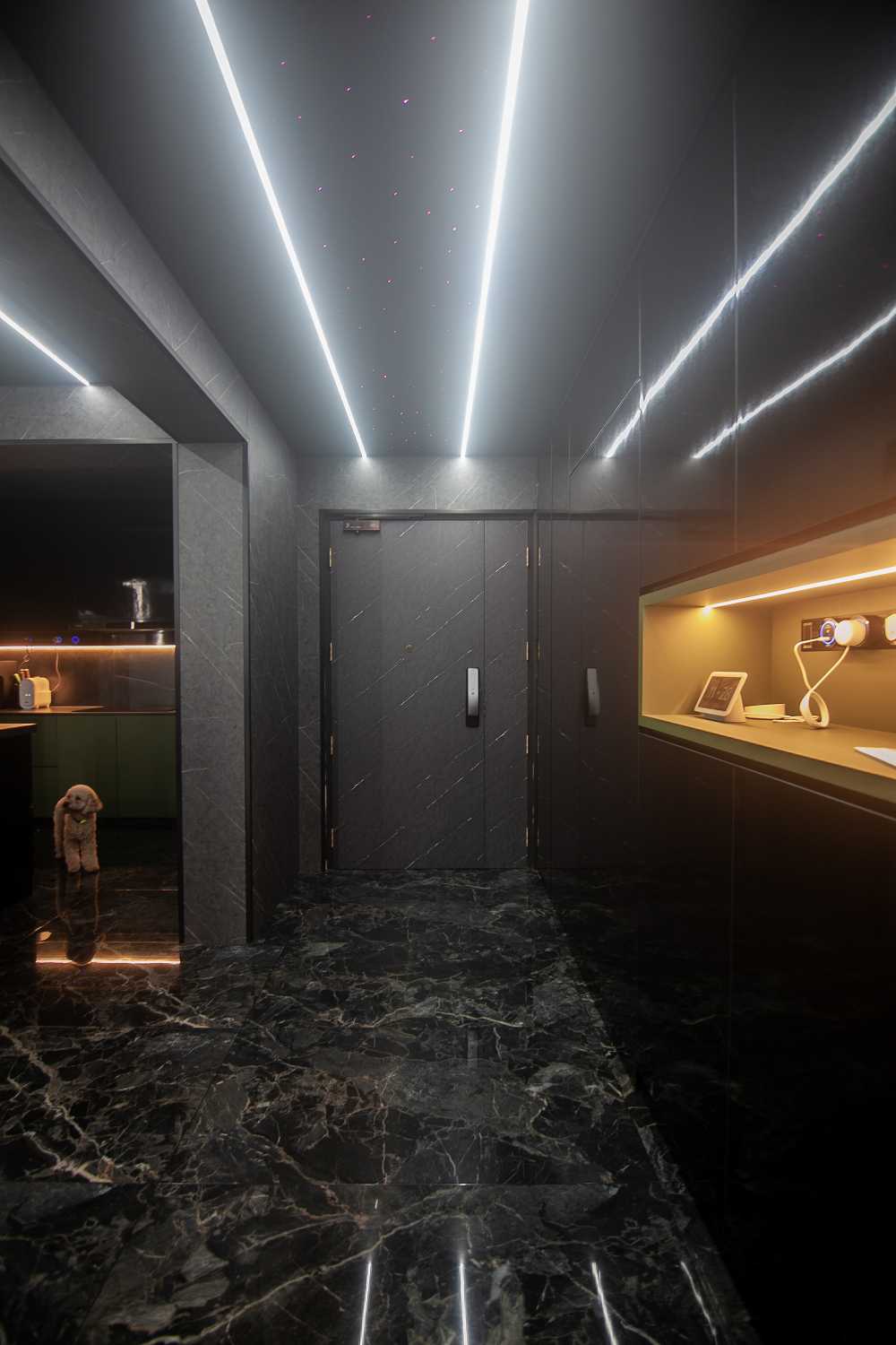 Modern Foyer with Homogeneous Tiles and Feature Wall