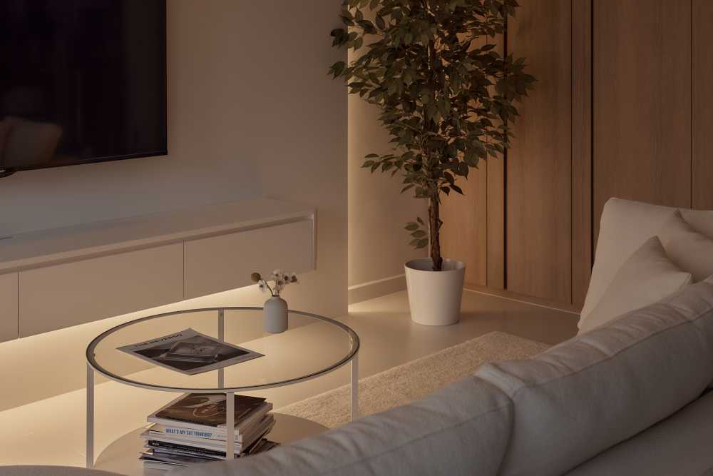 Minimalist Living Room with TV Console and Sofa