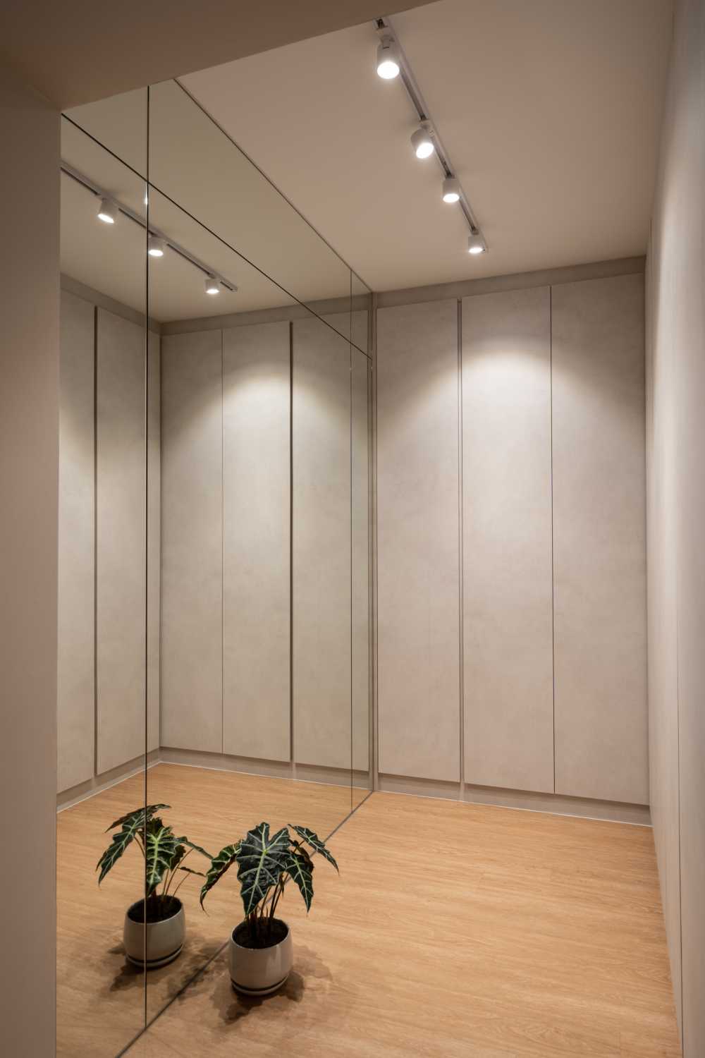 Minimalist Walk-in Wardrobe with Mirror and Wardrobe