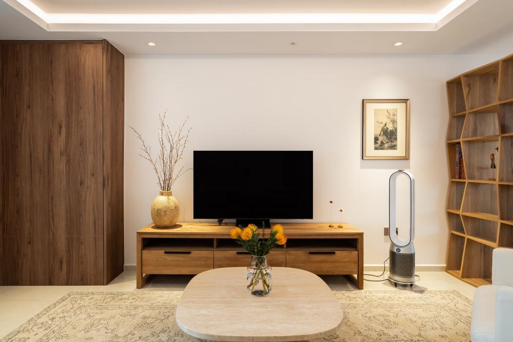 Contemporary Living Room with TV Console and Sofa